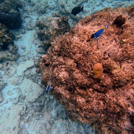 Moodhumaa Inn Guraidhoo  Buitenkant foto