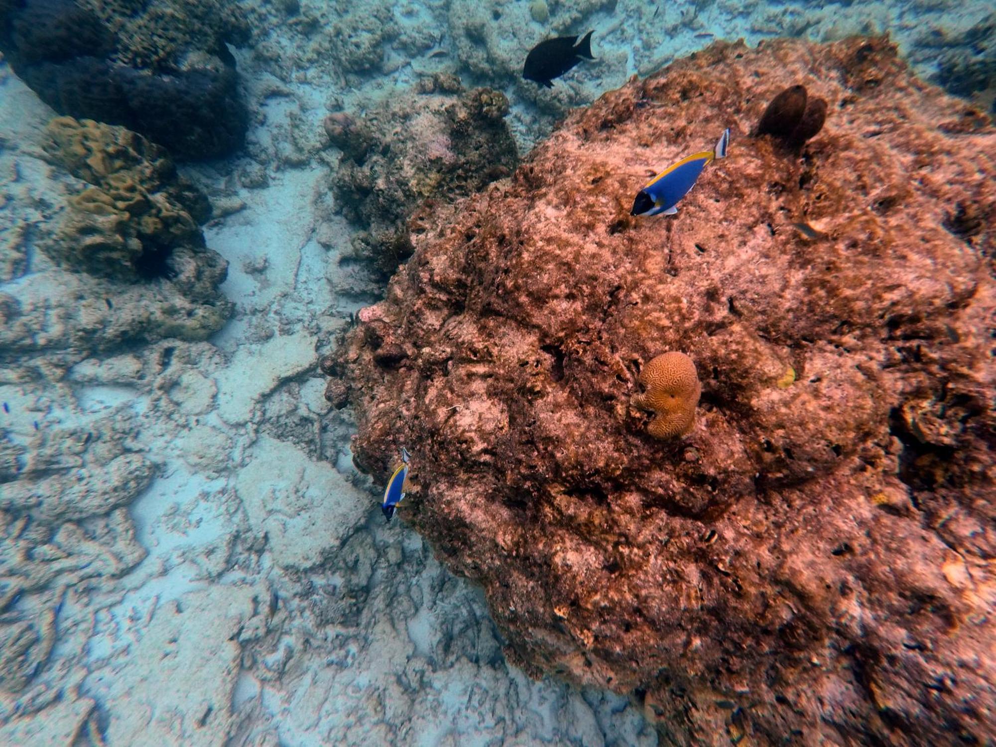 Moodhumaa Inn Guraidhoo  Buitenkant foto