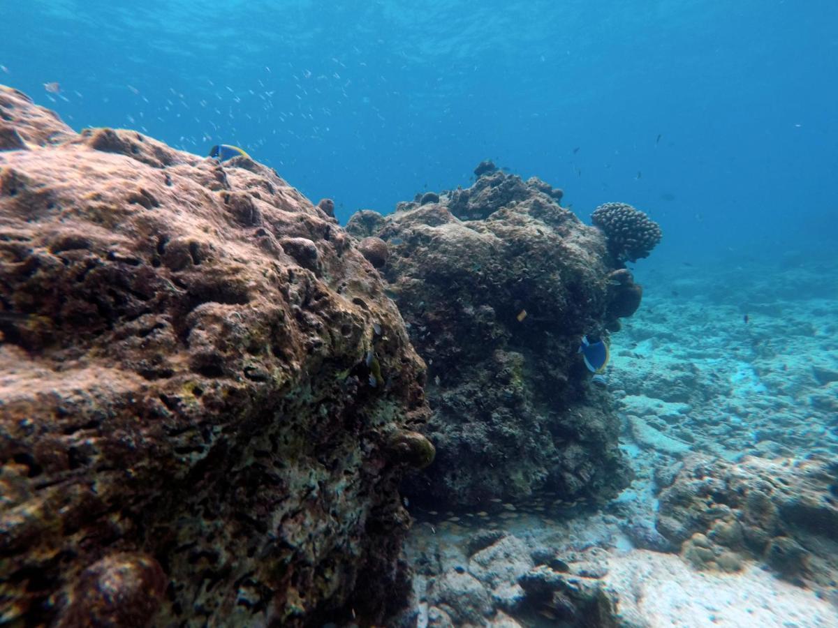 Moodhumaa Inn Guraidhoo  Buitenkant foto