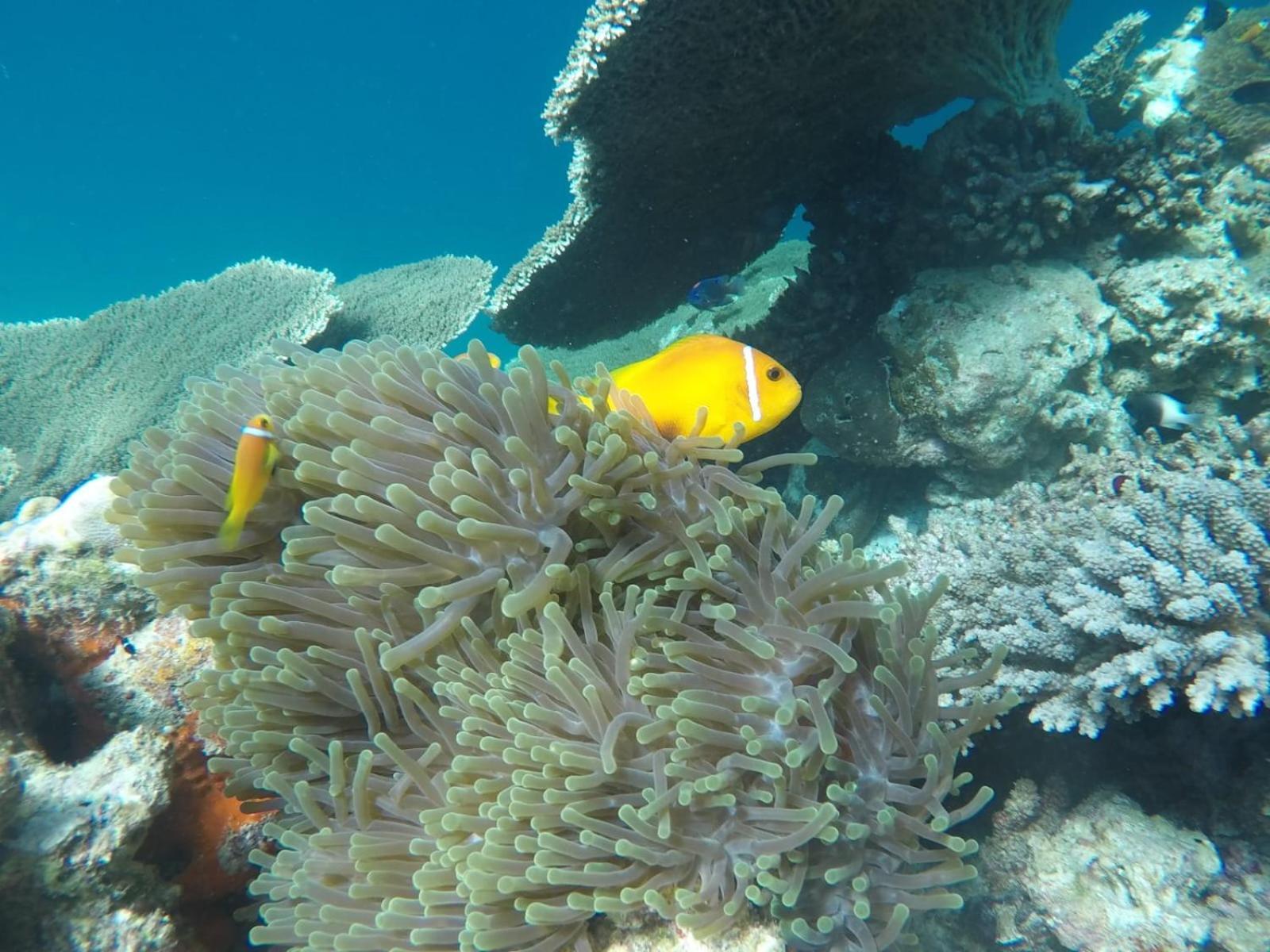 Moodhumaa Inn Guraidhoo  Buitenkant foto