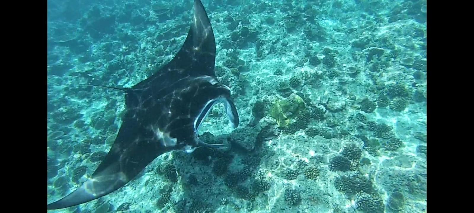 Moodhumaa Inn Guraidhoo  Buitenkant foto