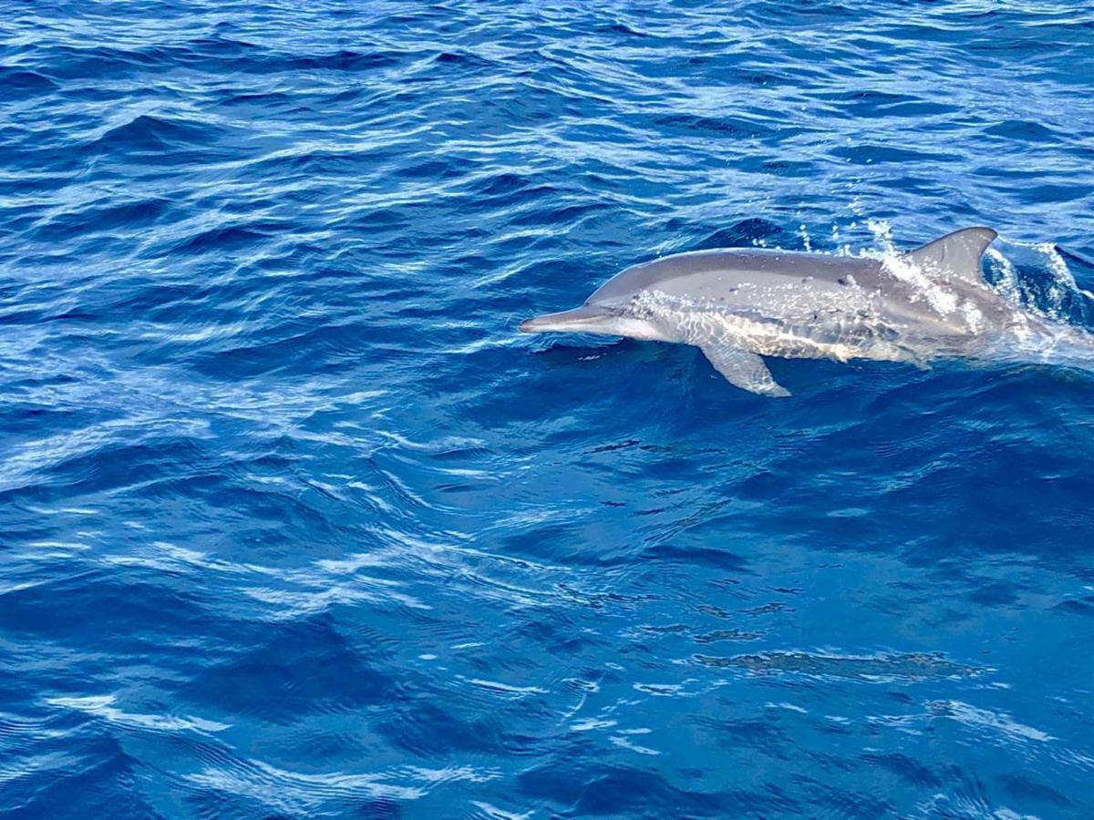 Moodhumaa Inn Guraidhoo  Buitenkant foto