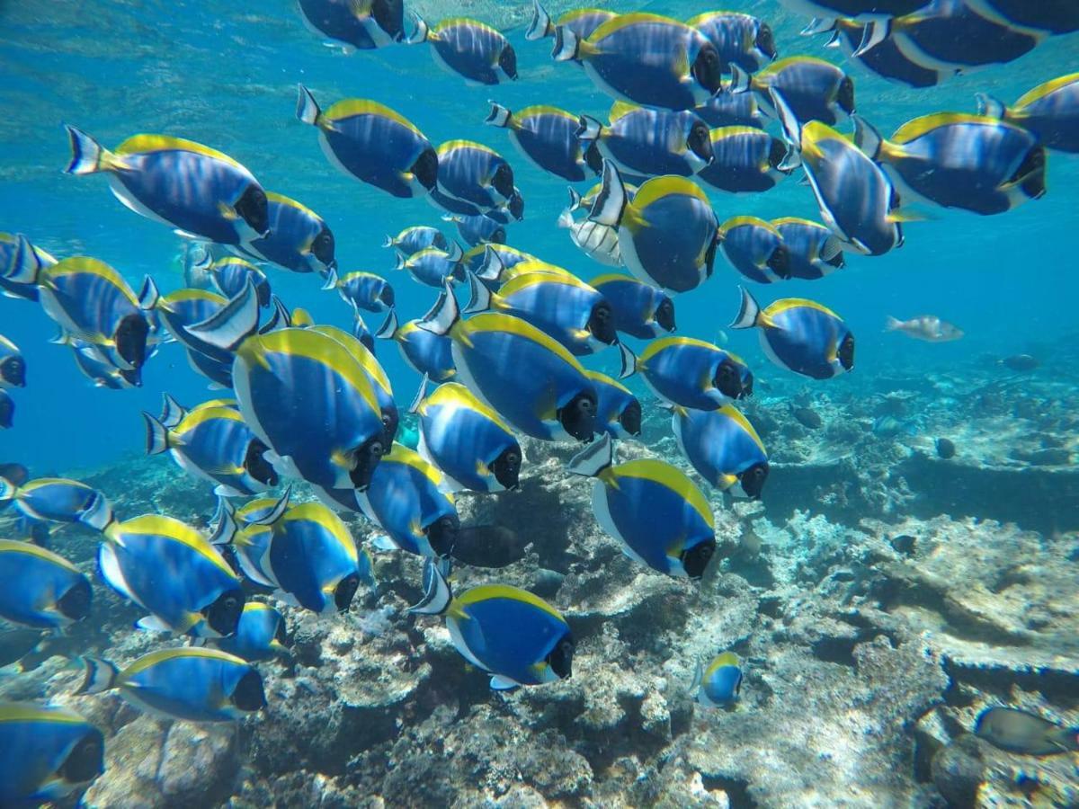 Moodhumaa Inn Guraidhoo  Buitenkant foto